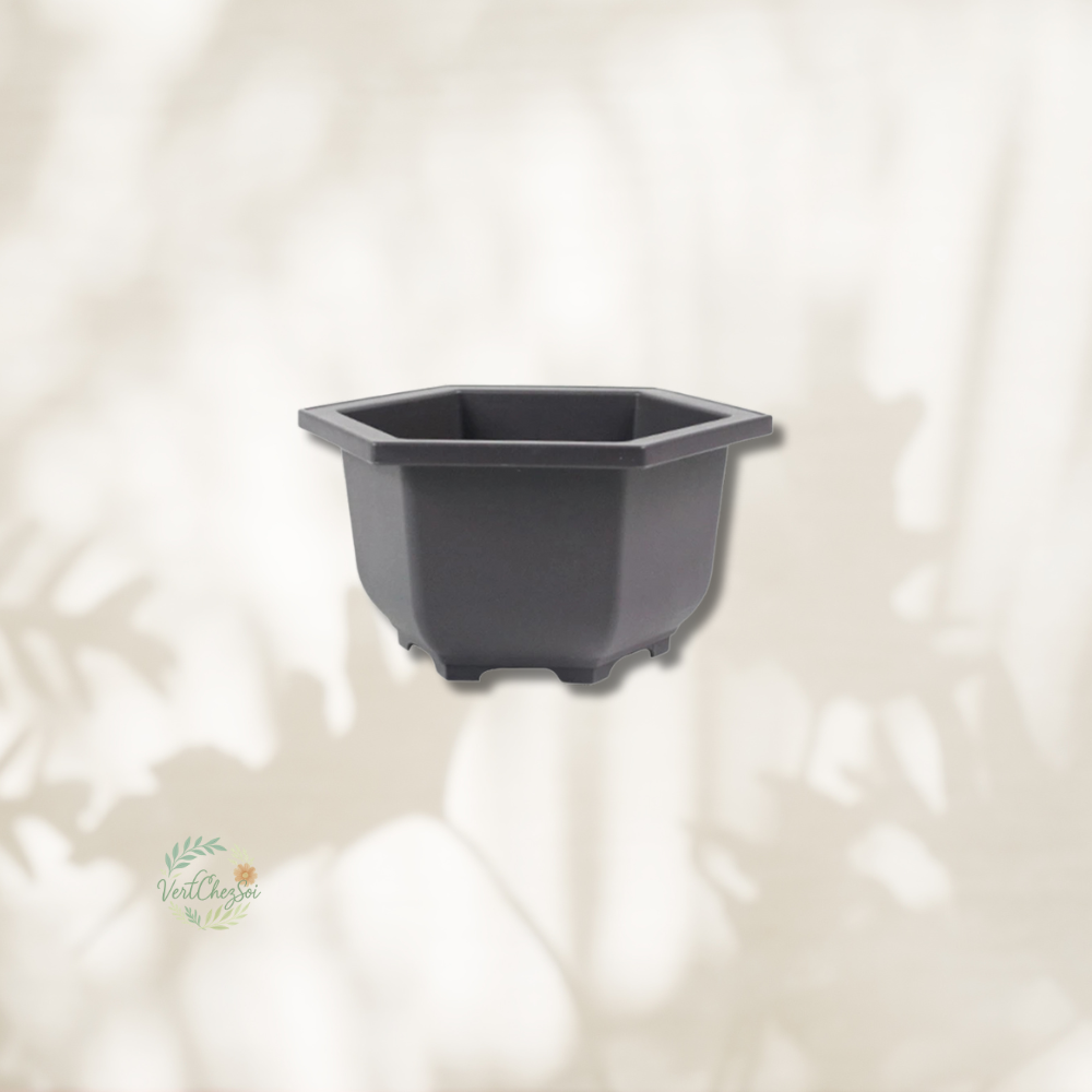 Pot de fleur hexagonale