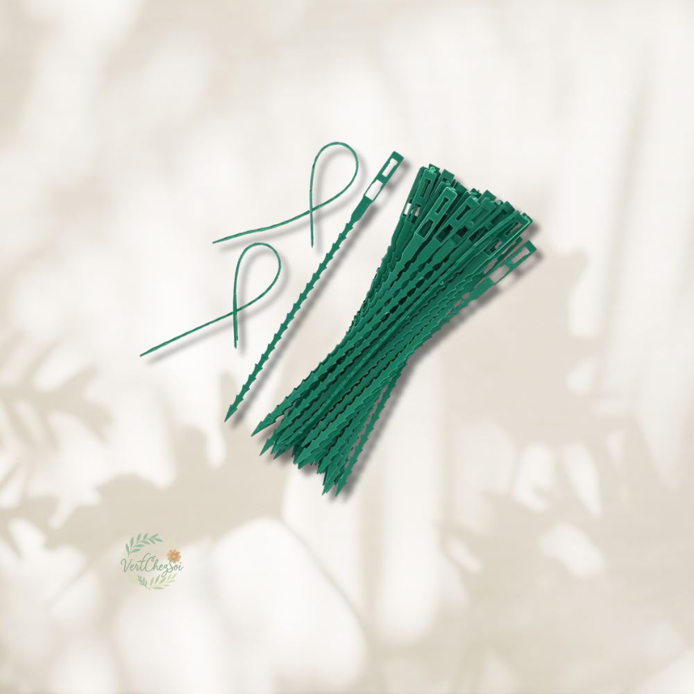 Lot attache  plastique plante tuteur