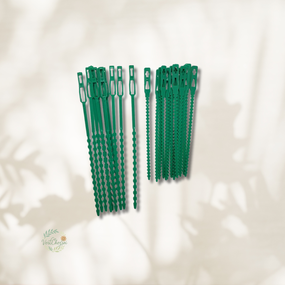 Lot attache  plastique plante tuteur