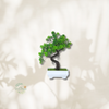 Bonsai Artificielle Elancé - Plusieurs Coloris au Choix