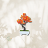 Bonsai Artificielle Elancé - Plusieurs Coloris au Choix