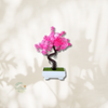Bonsai Artificielle Elancé - Plusieurs Coloris au Choix