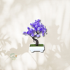Bonsai Artificielle Elancé - Plusieurs Coloris au Choix