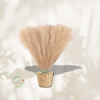 Bouquet de pampas artificielle