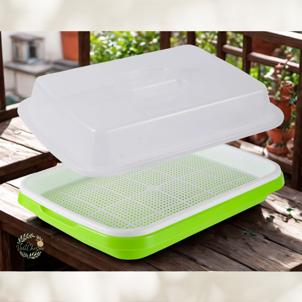 Plateau de germination pratique