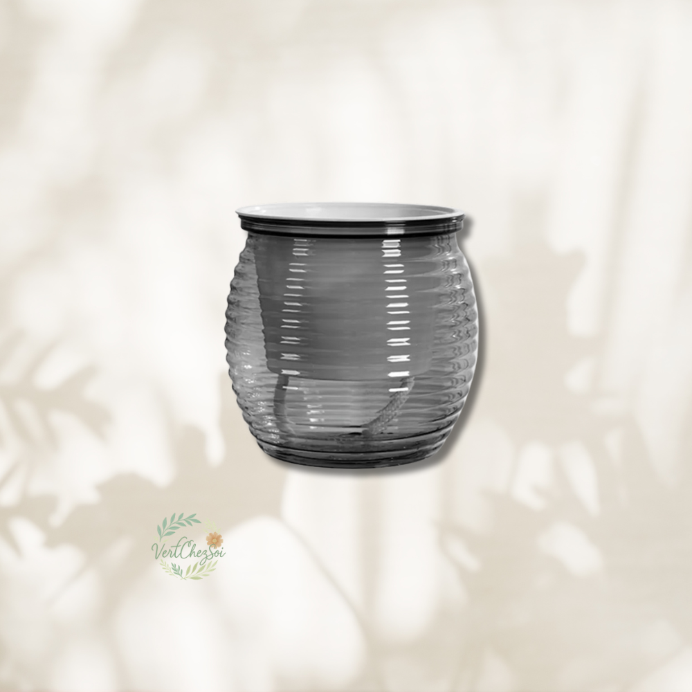 Pot autoarrosant design  transparent petit
