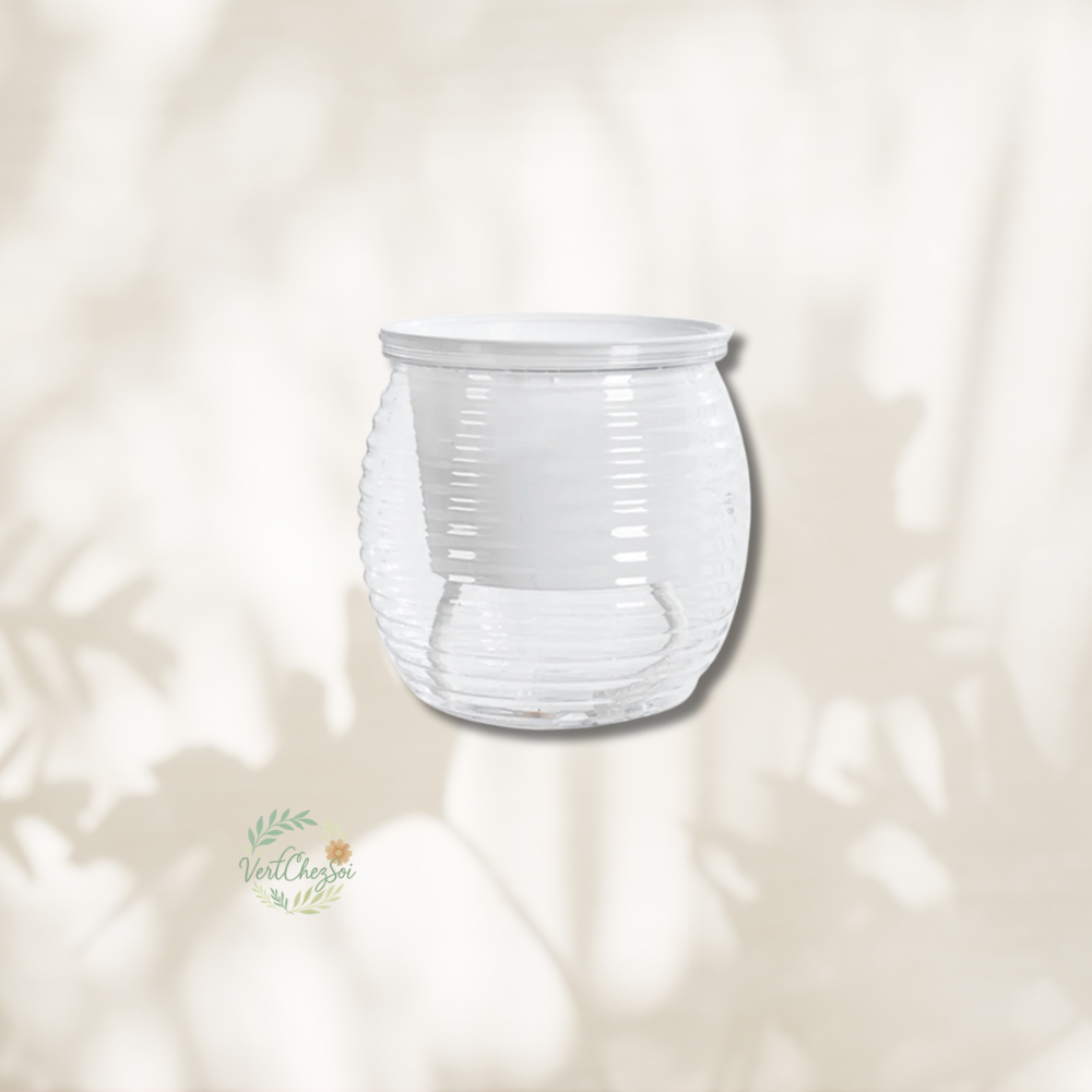 Pot autoarrosant design  transparent petit