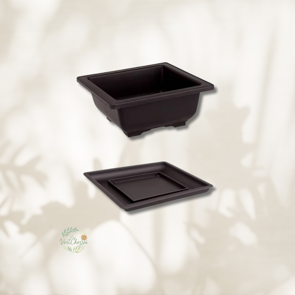 Pot de fleur carrés