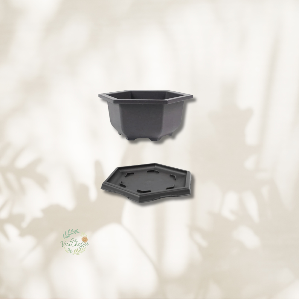 Pot de fleur hexagonale