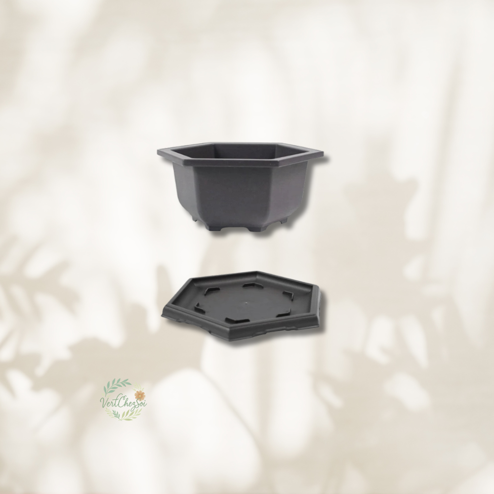 Pot de fleur hexagonale