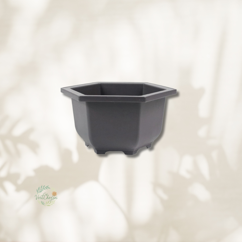 Pot de fleur hexagonale