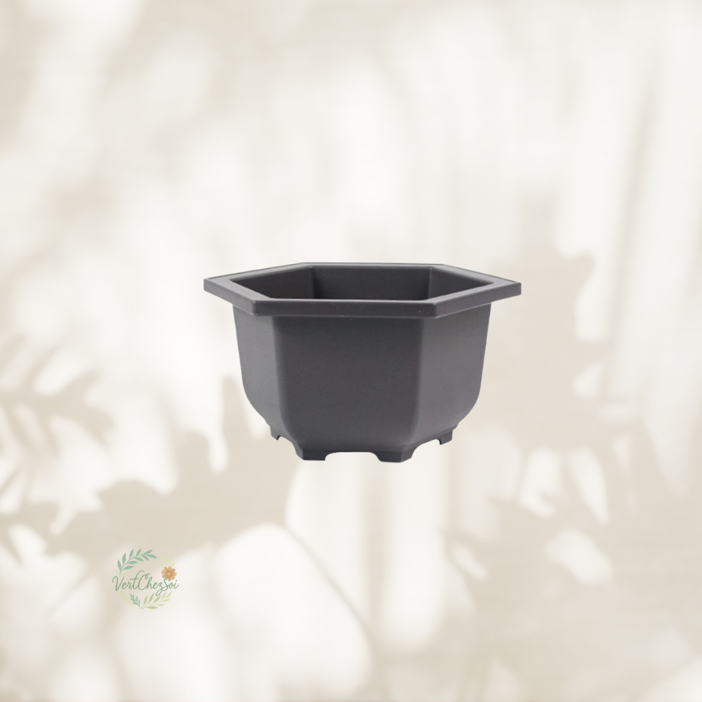 Pot de fleur hexagonale