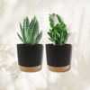 Lot de 2 pots rond bi couleur