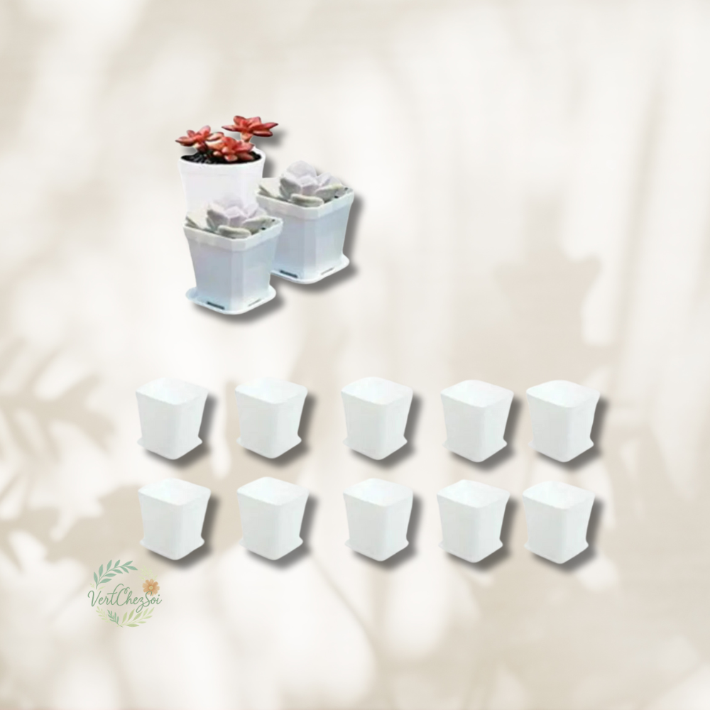 Lot pots de semis noir et coloré