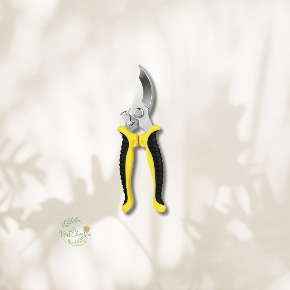 Sécateur pour arbuste coloré