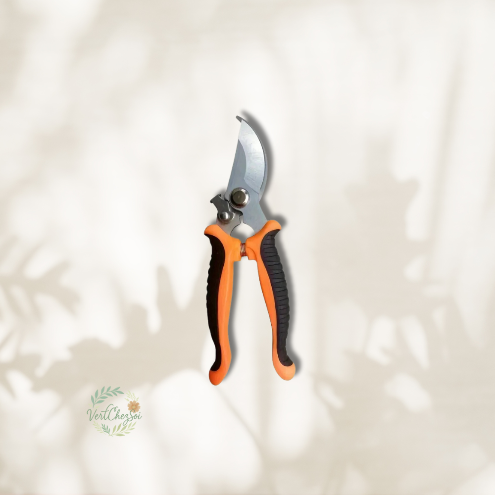 Sécateur pour arbuste coloré