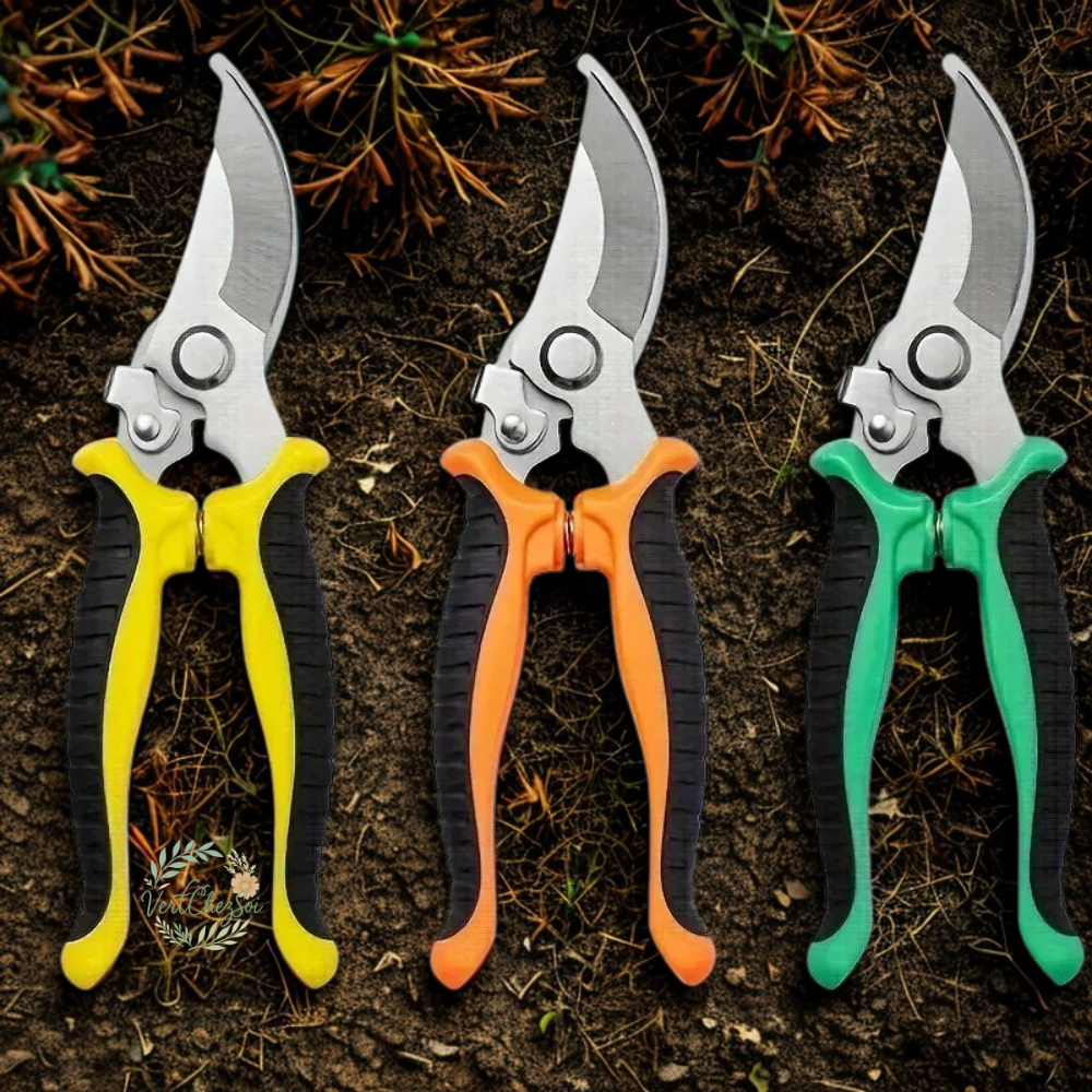 Sécateur pour arbuste coloré