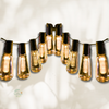 Guirlande ampoule Edison extérieur 